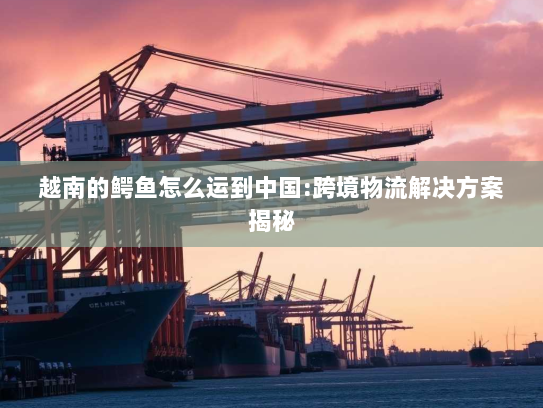 越南的鳄鱼怎么运到中国:跨境物流解决方案揭秘