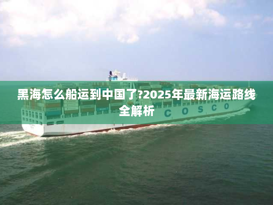 黑海怎么船运到中国了?2025年最新海运路线全解析 黑海怎么船运到中国了?2025年最新海运路线全解析