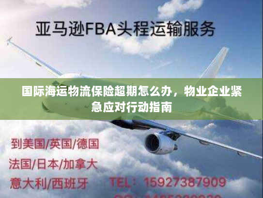 国际海运物流保险超期怎么办，物业企业紧急应对行动指南