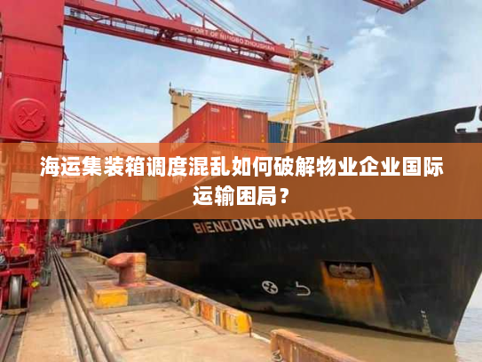 海运集装箱调度混乱如何破解物业企业国际运输困局？