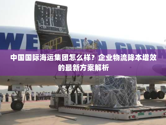 中国国际海运集团怎么样？企业物流降本增效的最新方案解析