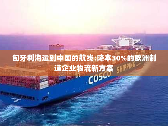 匈牙利海运到中国的航线:降本30%的欧洲制造企业物流新方案