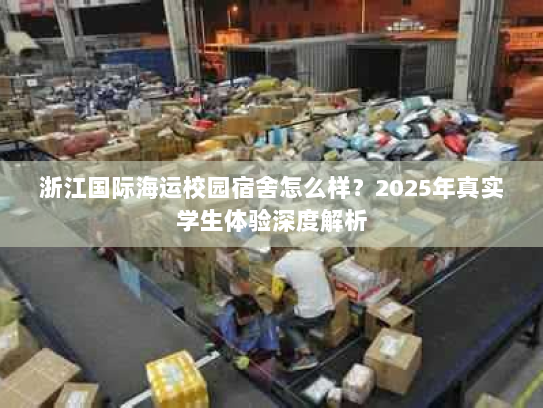 浙江国际海运校园宿舍怎么样？2025年真实学生体验深度解析