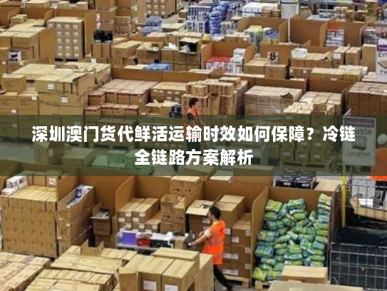 深圳澳门货代鲜活运输时效如何保障？冷链全链路方案解析