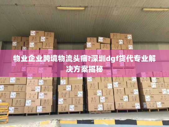 物业企业跨境物流头痛?深圳dgf货代专业解决方案揭秘 物业企业跨境物流头痛?深圳dgf货代专业解决方案揭秘