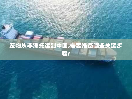 宠物从非洲托运到中国,需要准备哪些关键步骤? 宠物从非洲托运到中国,需要准备哪些关键步骤?