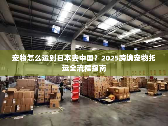 宠物怎么运到日本去中国？2025跨境宠物托运全流程指南