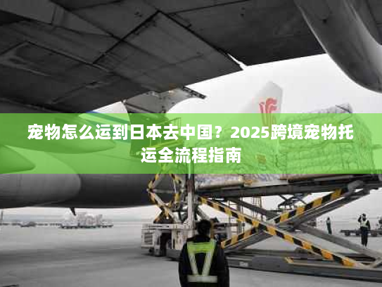 宠物怎么运到日本去中国？2025跨境宠物托运全流程指南