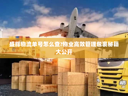 盛辉物流单号怎么查?物业高效管理包裹秘籍大公开