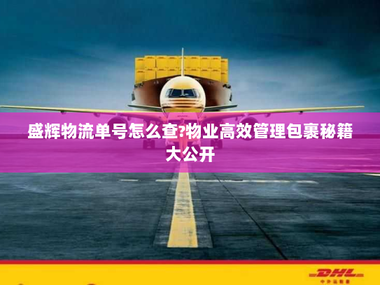 盛辉物流单号怎么查?物业高效管理包裹秘籍大公开