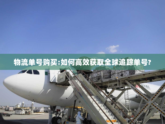 物流单号购买:如何高效获取全球追踪单号?