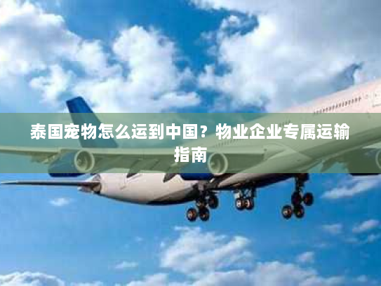 泰国宠物怎么运到中国？物业企业专属运输指南