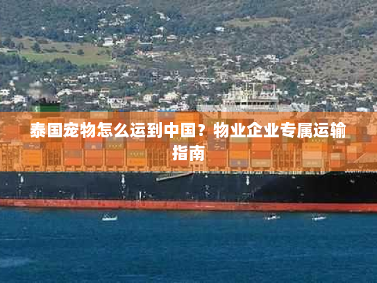 泰国宠物怎么运到中国？物业企业专属运输指南