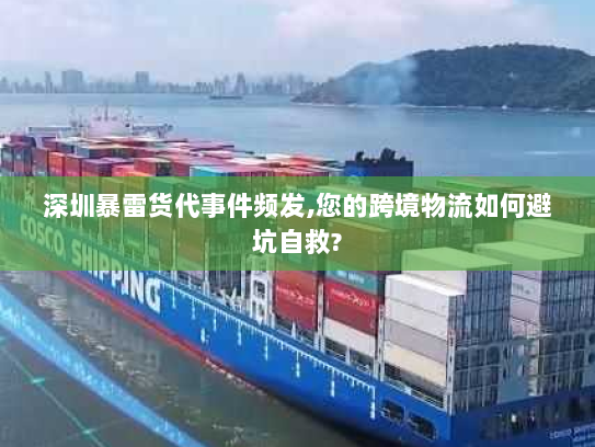 深圳暴雷货代事件频发,您的跨境物流如何避坑自救?
