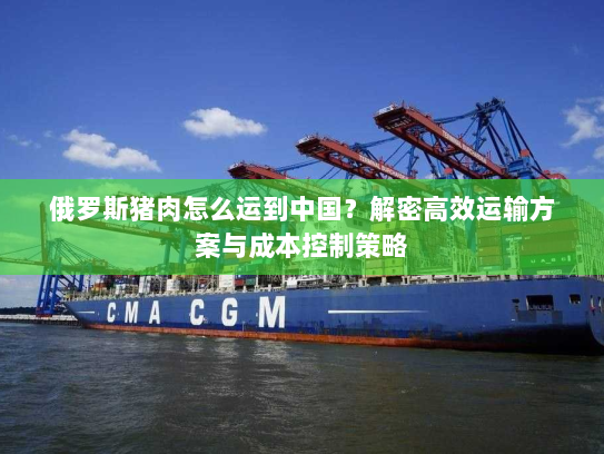 俄罗斯猪肉怎么运到中国？解密高效运输方案与成本控制策略