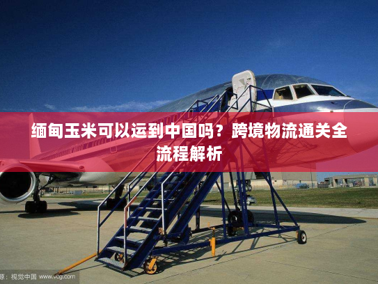 缅甸玉米可以运到中国吗？跨境物流通关全流程解析