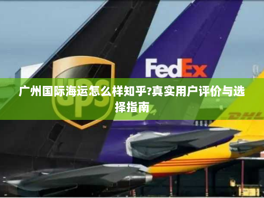 广州国际海运怎么样知乎?真实用户评价与选择指南