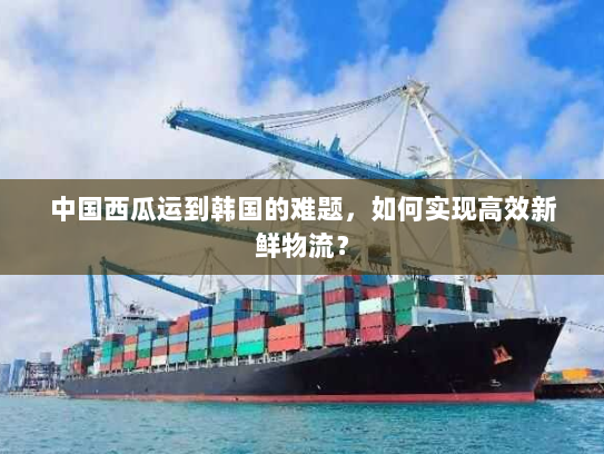 中国西瓜运到韩国的难题，如何实现高效新鲜物流？