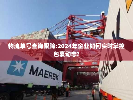 物流单号查询跟踪:2024年企业如何实时掌控包裹动态?