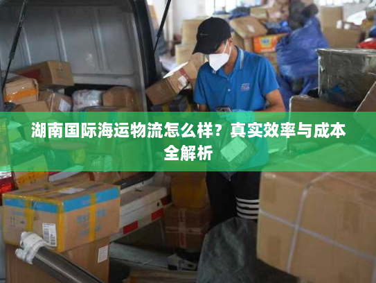 湖南国际海运物流怎么样？真实效率与成本全解析