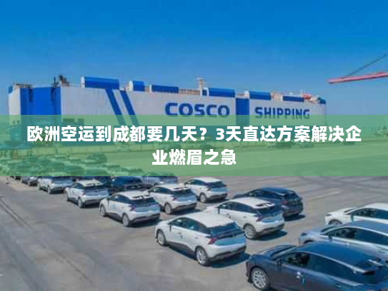 欧洲空运到成都要几天？3天直达方案解决企业燃眉之急