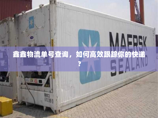 鑫鑫物流单号查询，如何高效跟踪你的快递？