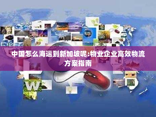 中国怎么海运到新加坡呢:物业企业高效物流方案指南 中国怎么海运到新加坡呢:物业企业高效物流方案指南