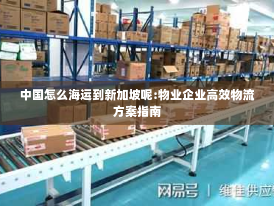 中国怎么海运到新加坡呢:物业企业高效物流方案指南 中国怎么海运到新加坡呢:物业企业高效物流方案指南