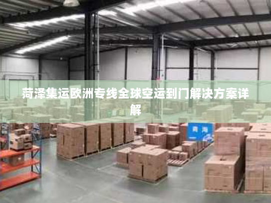 菏泽集运欧洲专线全球空运到门解决方案详解