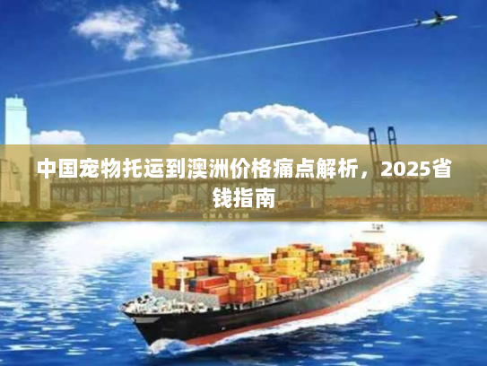 中国宠物托运到澳洲价格痛点解析，2025省钱指南