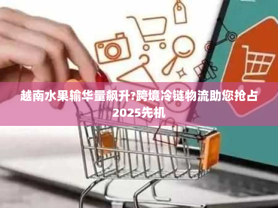 越南水果输华量飙升?跨境冷链物流助您抢占2025先机