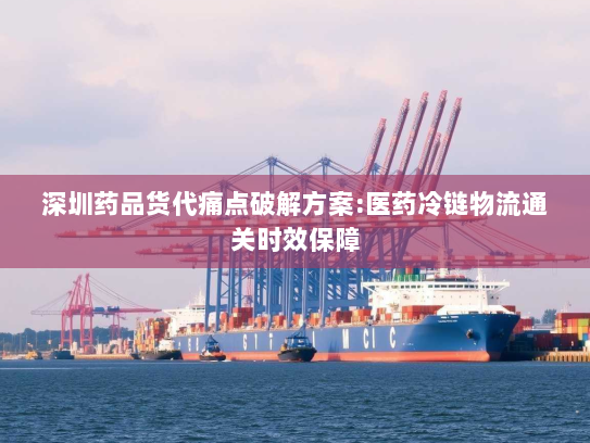 深圳药品货代痛点破解方案:医药冷链物流通关时效保障