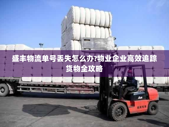 盛丰物流单号丢失怎么办?物业企业高效追踪货物全攻略