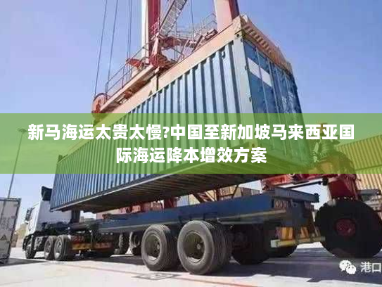 新马海运太贵太慢?中国至新加坡马来西亚国际海运降本增效方案