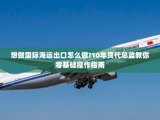 想做国际海运出口怎么做?10年货代总监教你零基础操作指南