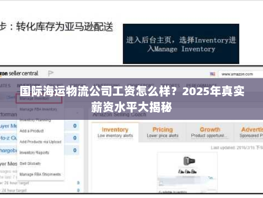 国际海运物流公司工资怎么样？2025年真实薪资水平大揭秘