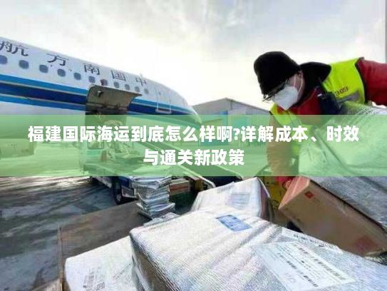 福建国际海运到底怎么样啊?详解成本、时效与通关新政策