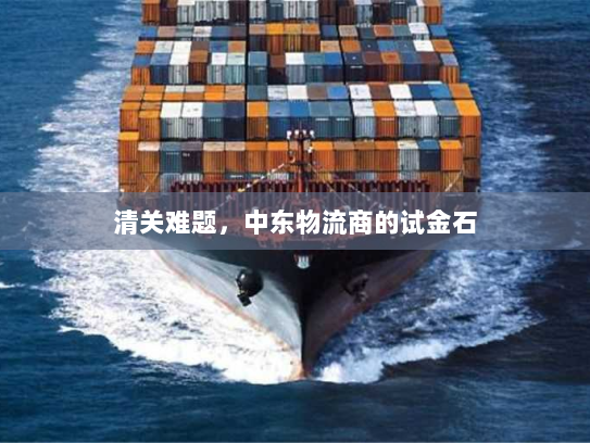 清关难题，中东物流商的试金石