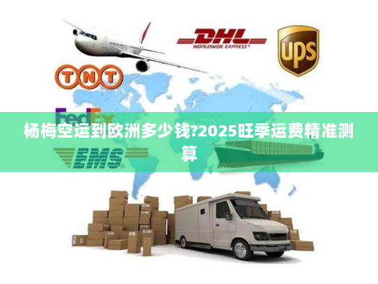 杨梅空运到欧洲多少钱?2025旺季运费精准测算