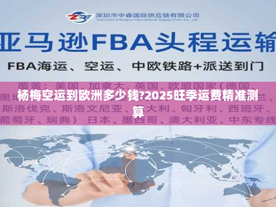 杨梅空运到欧洲多少钱?2025旺季运费精准测算