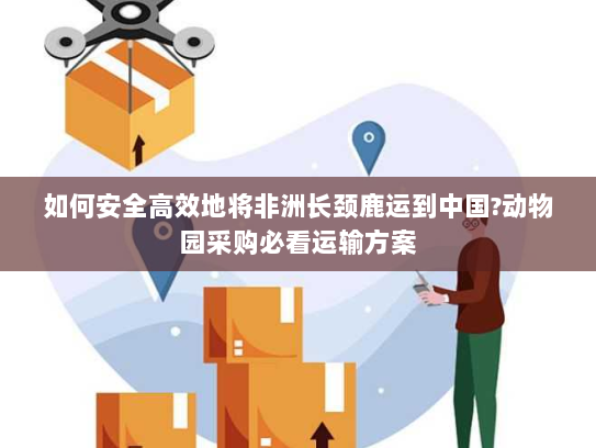 如何安全高效地将非洲长颈鹿运到中国?动物园采购必看运输方案