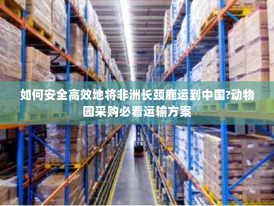 如何安全高效地将非洲长颈鹿运到中国?动物园采购必看运输方案
