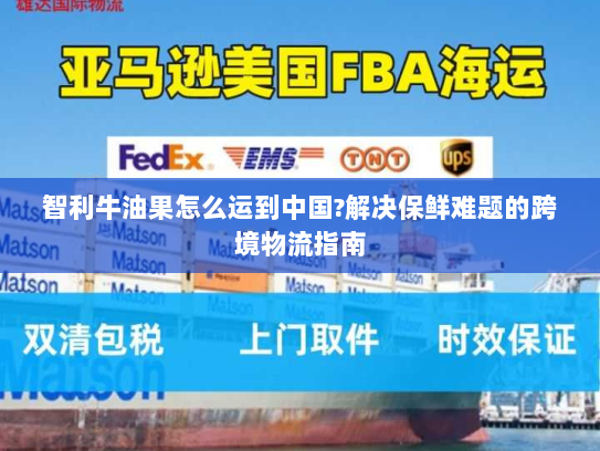 智利牛油果怎么运到中国?解决保鲜难题的跨境物流指南