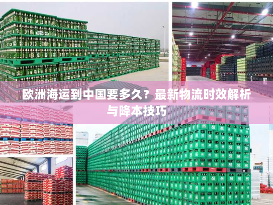 欧洲海运到中国要多久？最新物流时效解析与降本技巧
