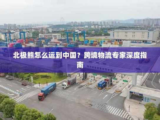 北极熊怎么运到中国？跨境物流专家深度指南