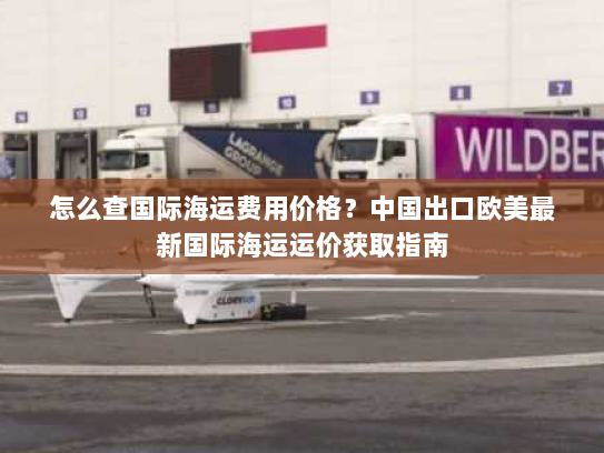 怎么查国际海运费用价格？中国出口欧美最新国际海运运价获取指南