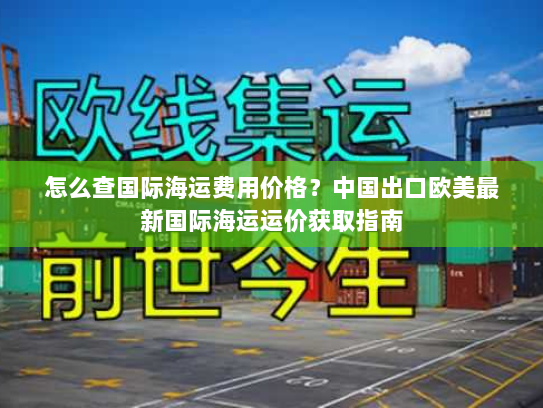怎么查国际海运费用价格？中国出口欧美最新国际海运运价获取指南