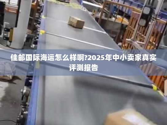 佳邮国际海运怎么样啊?2025年中小卖家真实评测报告