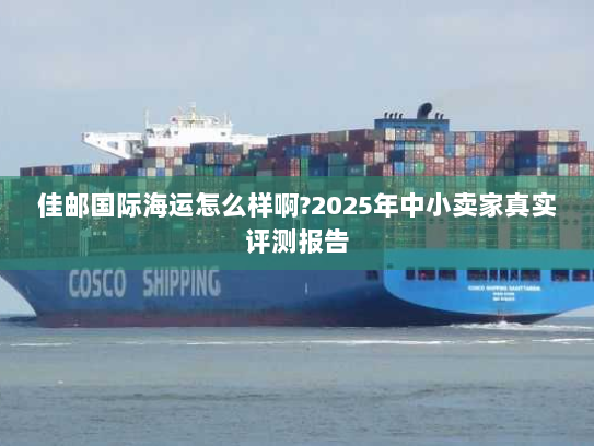 佳邮国际海运怎么样啊?2025年中小卖家真实评测报告