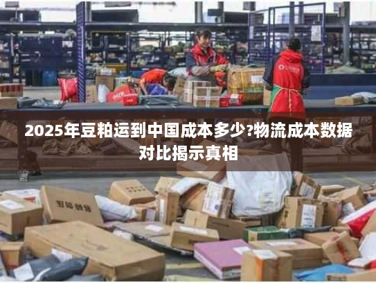 2025年豆粕运到中国成本多少?物流成本数据对比揭示真相